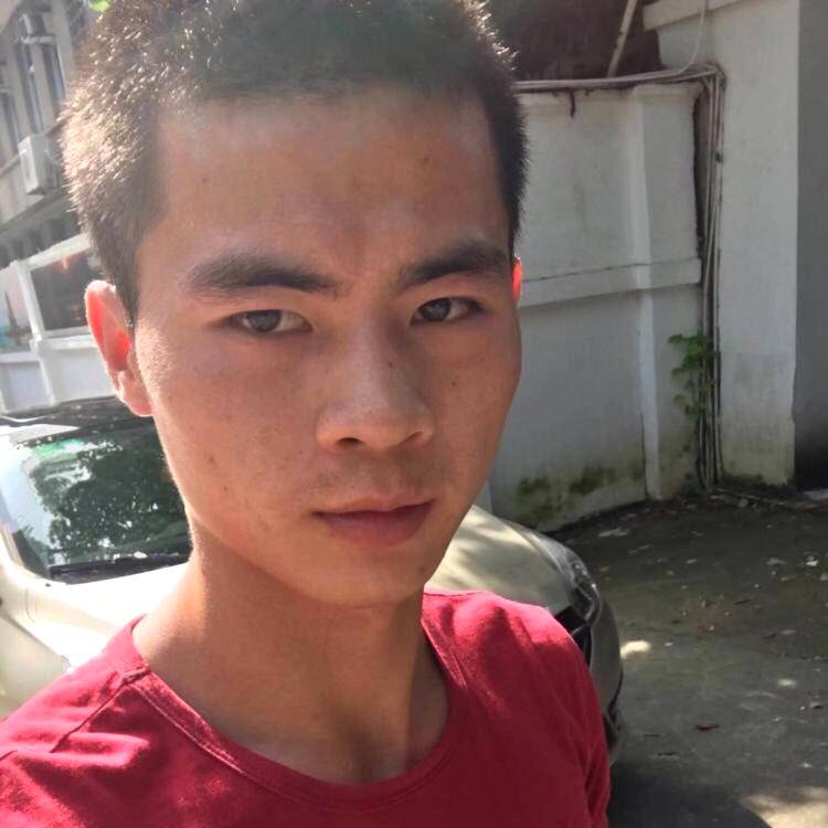 合适红尘的照片