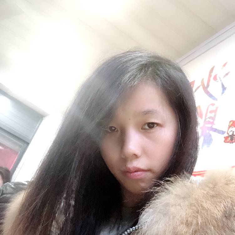 闪闪猫咪的照片