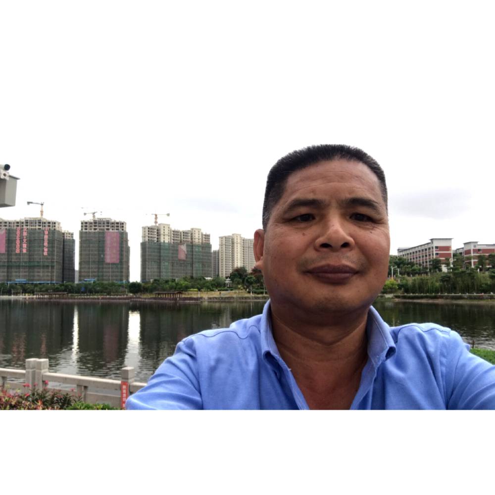 常青树。的照片