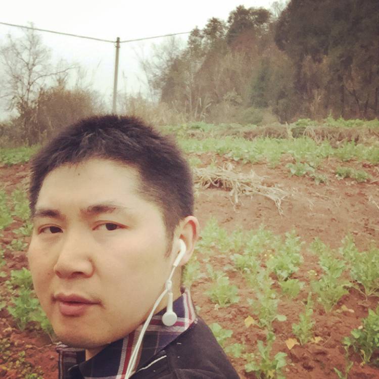 激情豆芽的照片