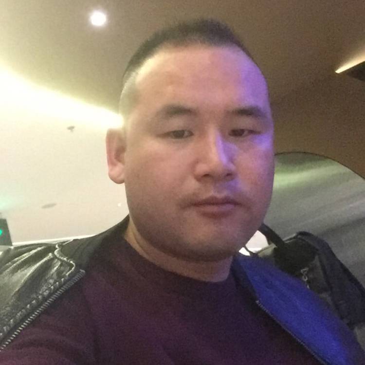 斑驳小蚂蚁的照片