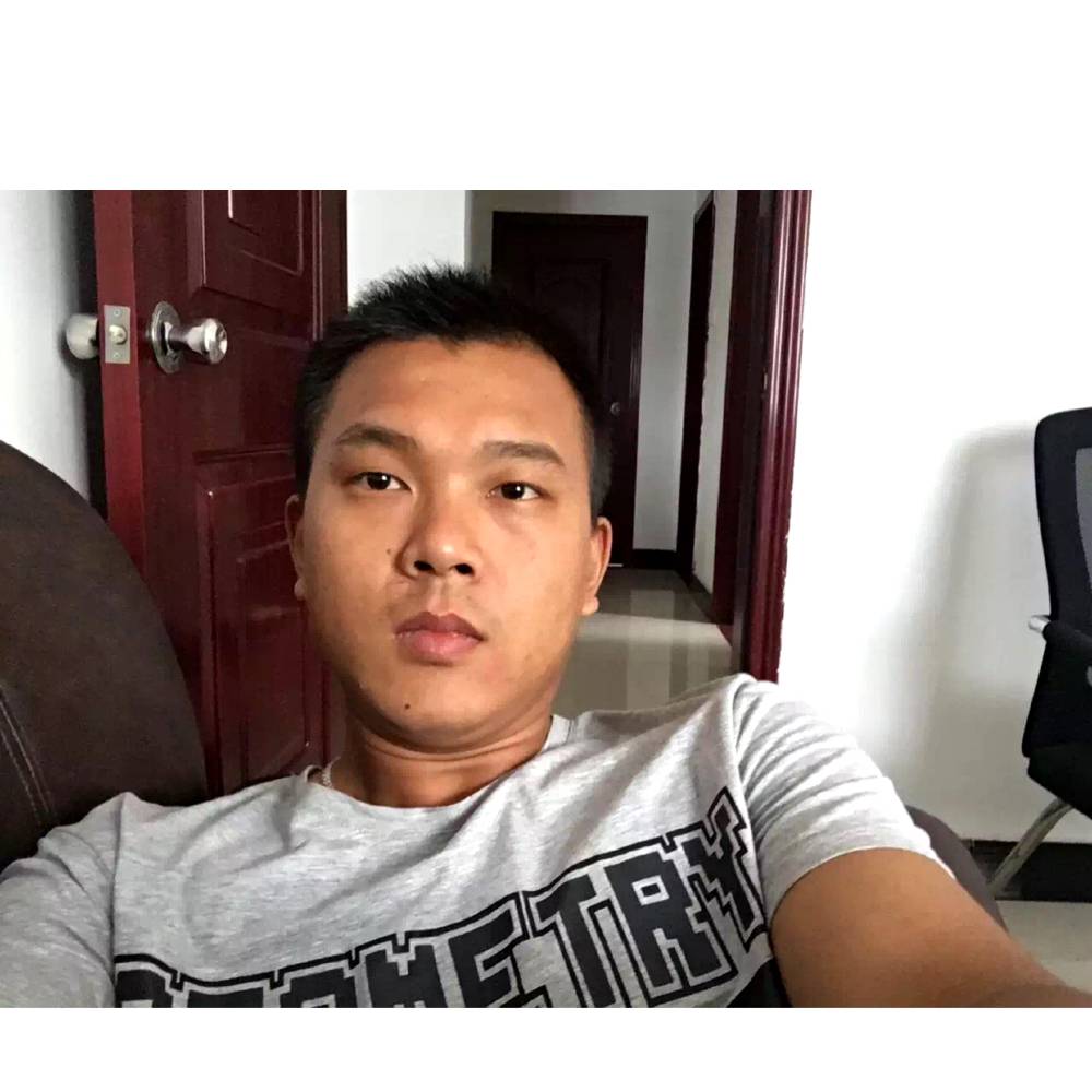 高贵蚂蚁的照片
