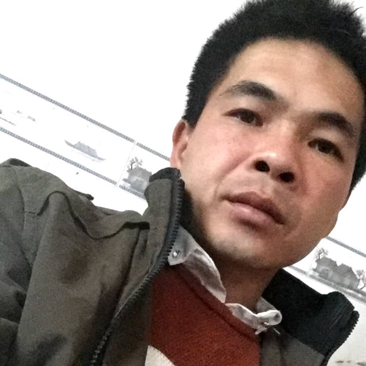 无私金鱼的照片