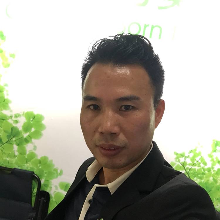 绿叶的照片
