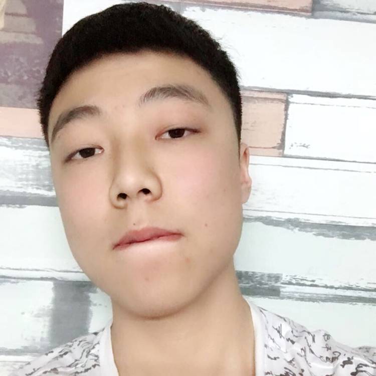 会游泳的鹿的照片
