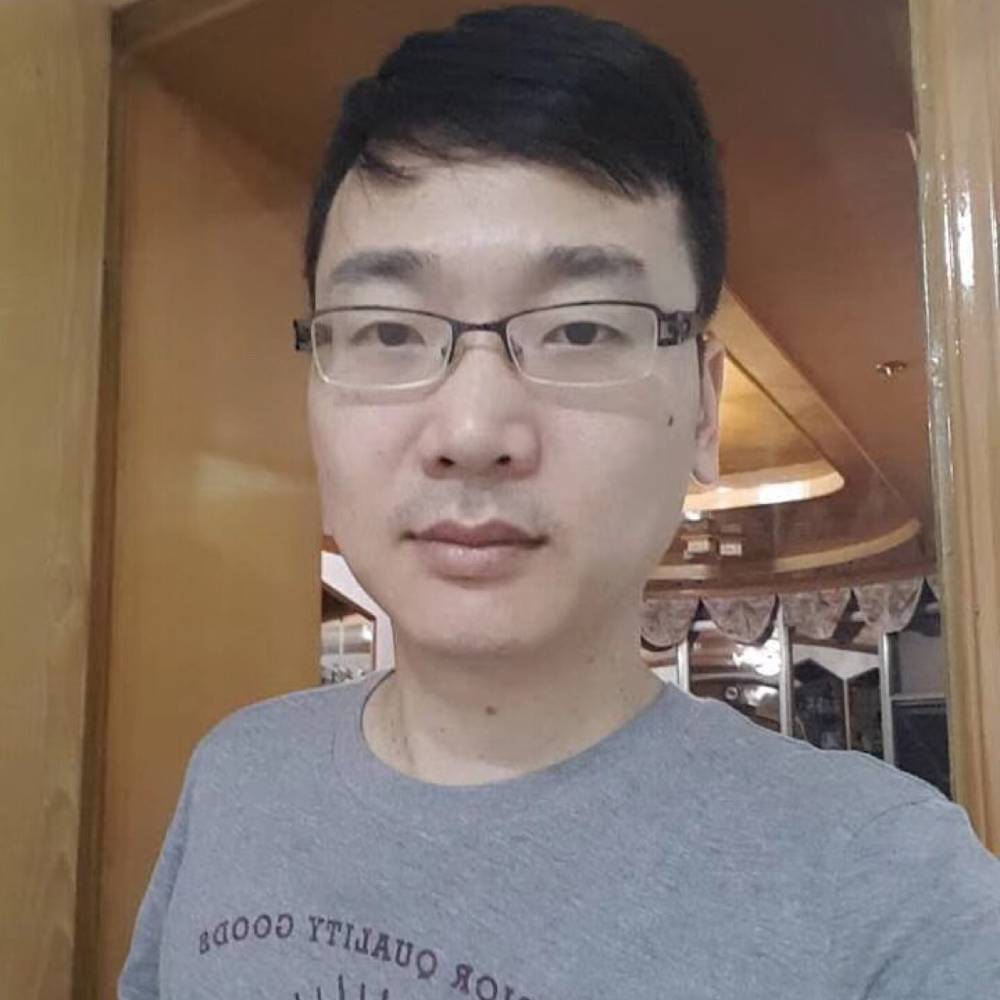 埃及小猫的照片