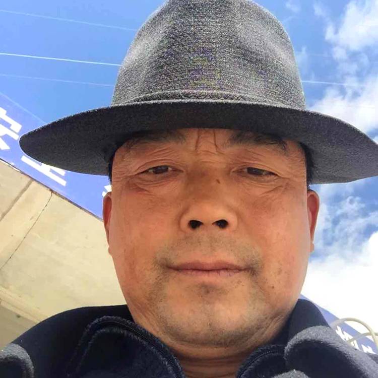 大白鲨789的照片