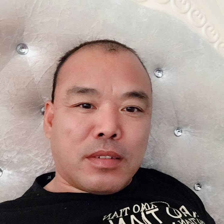 舒适小猫咪的照片