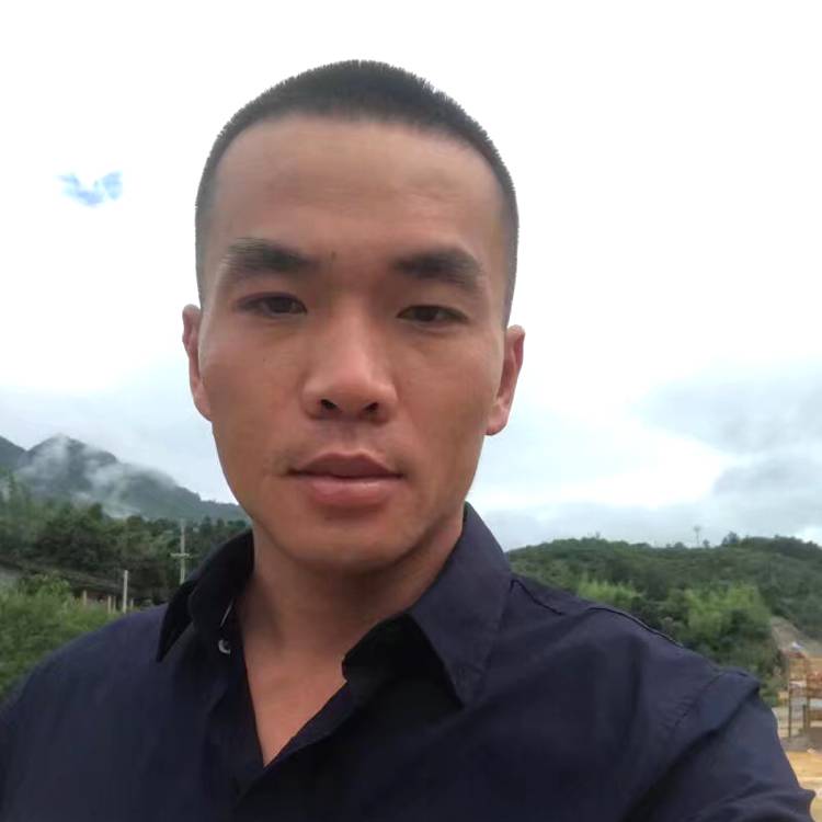 俊逸小松鼠的照片