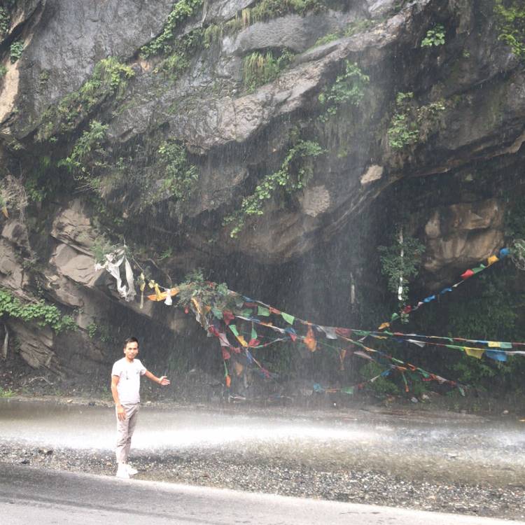迷茫冰棍的照片