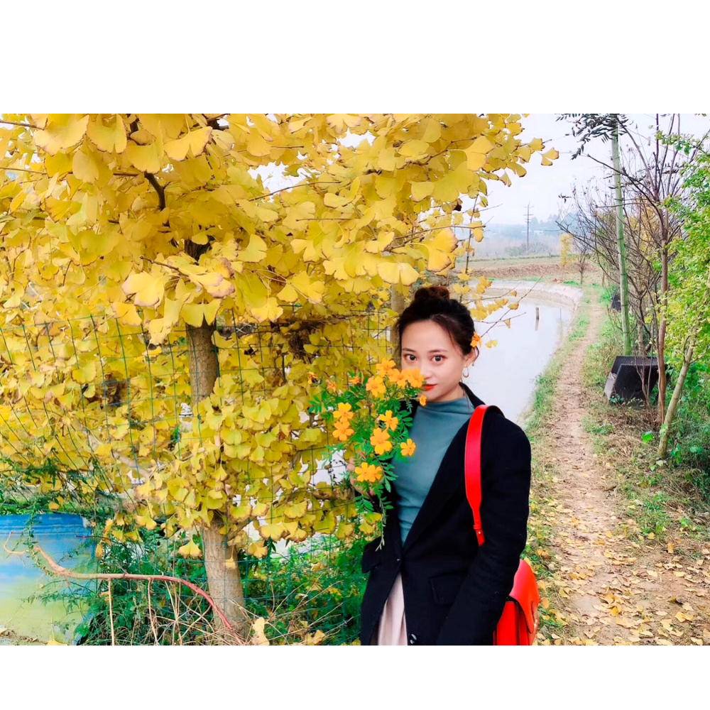 西西里小姐的照片