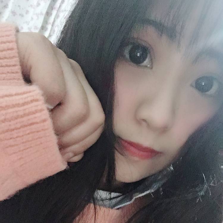 优雅小蜜蜂的照片
