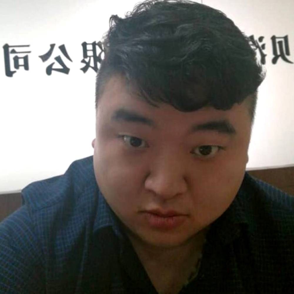沉默的蚂蚁的照片