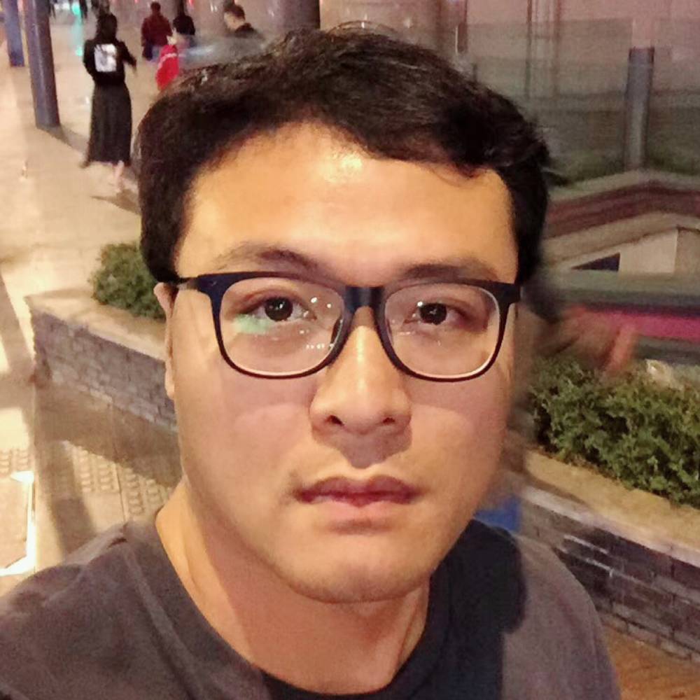 光亮大象的照片