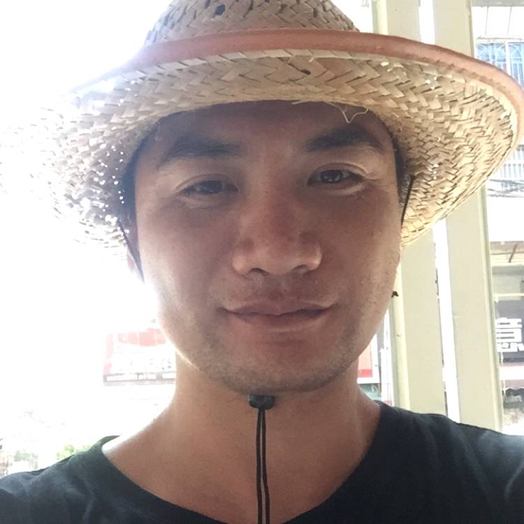 疯狂小蘑菇的照片