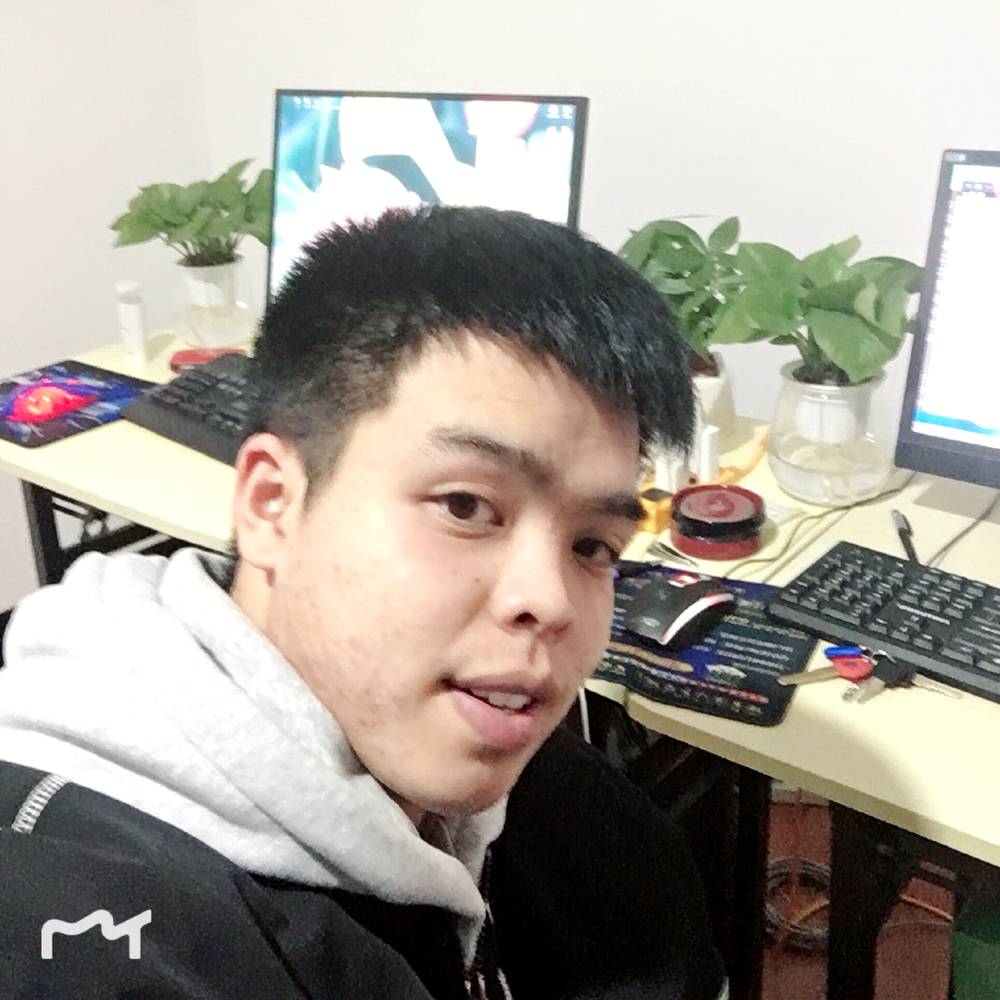 素食的照片
