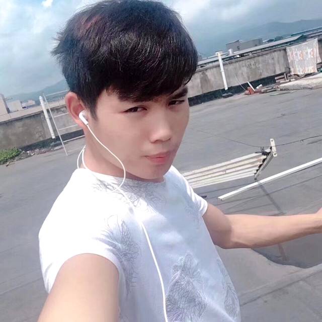 美丽小松鼠的照片