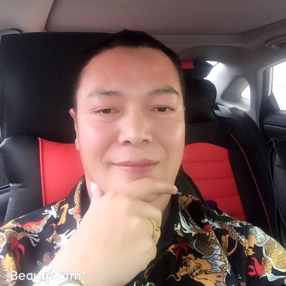 唠叨黄蜂的照片