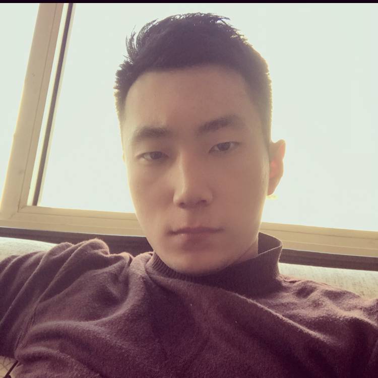 顺利猪的照片