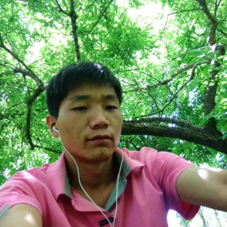 长长的睫毛的舒克的照片