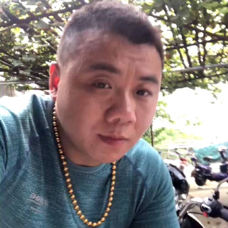 放洋的的照片