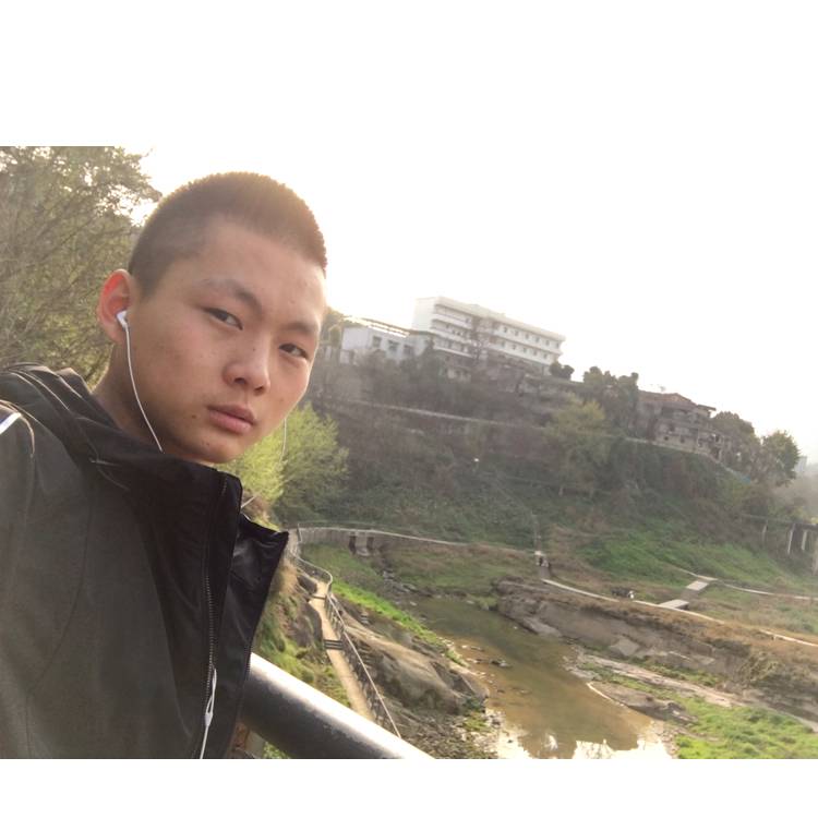 小杨杨杨的照片