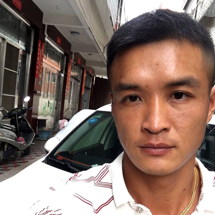 倀楓的照片