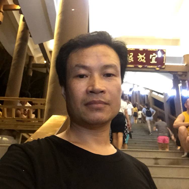孤单,大雁的照片