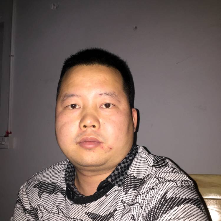 充满阳光的草的照片