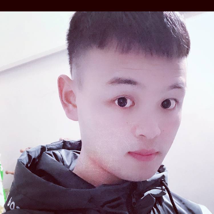 小海豚。的照片