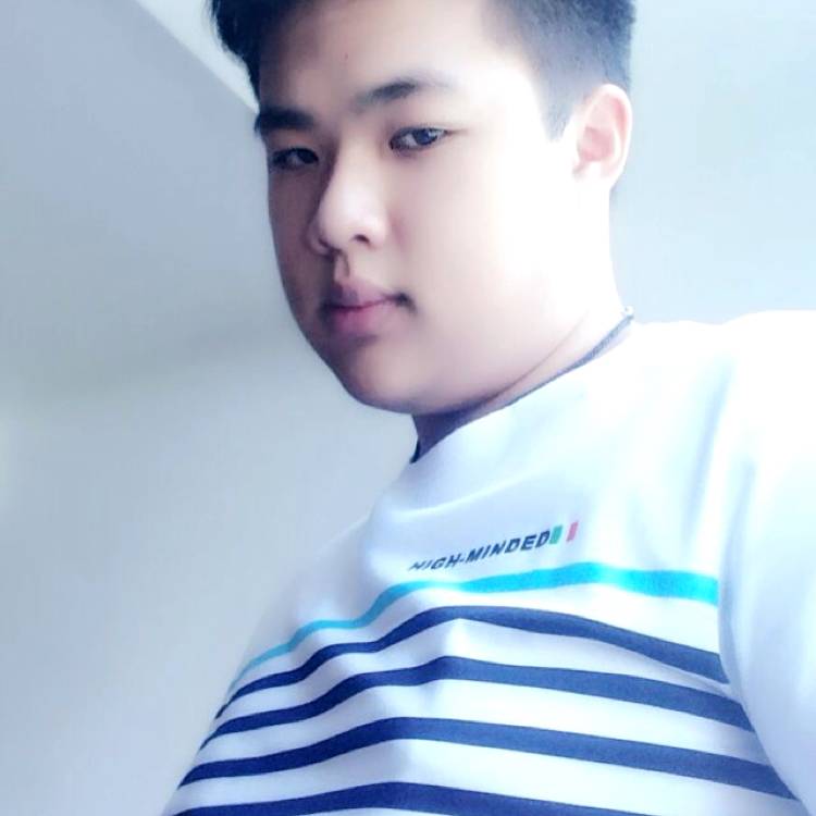 琥珀总统的照片