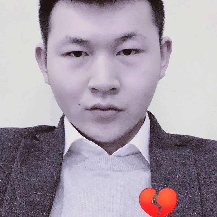 孤独人生的候鸟的照片