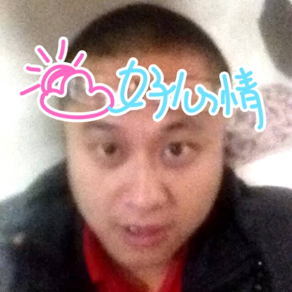 受伤的猪的照片