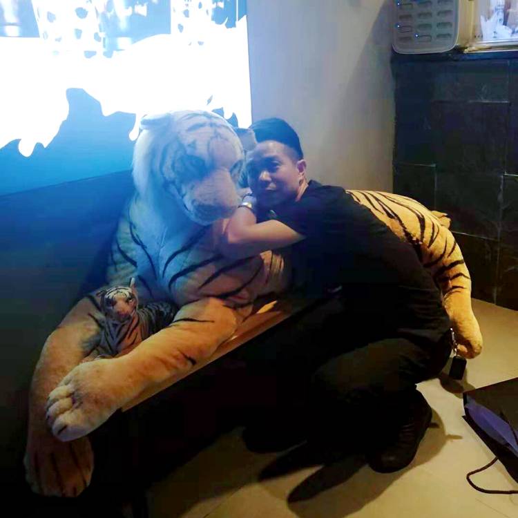 王者本色的照片