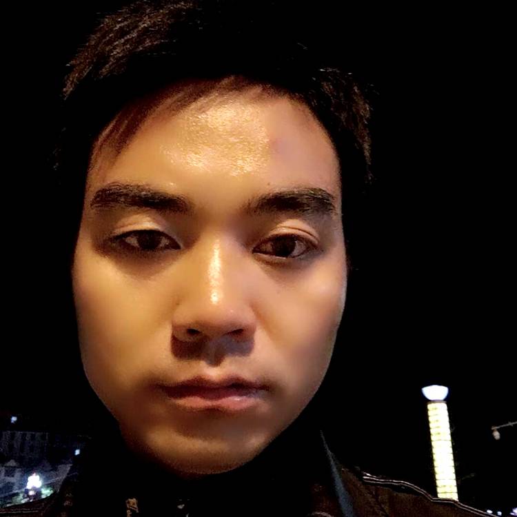 枫叶的照片