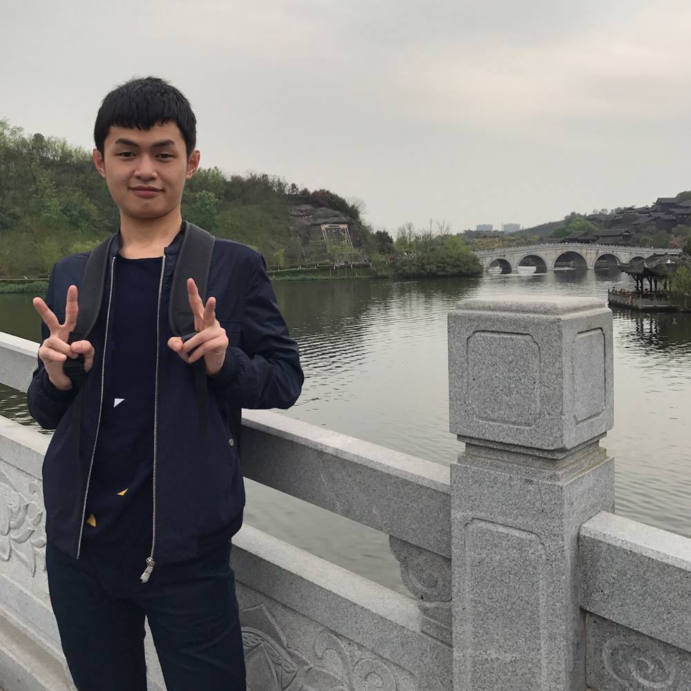 会说话的树的照片