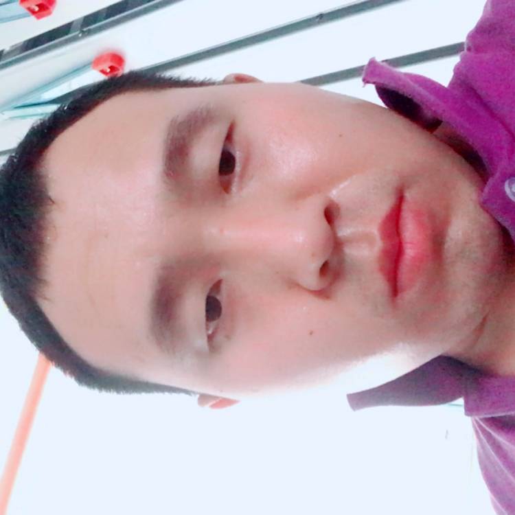 自由鱼的世界的照片