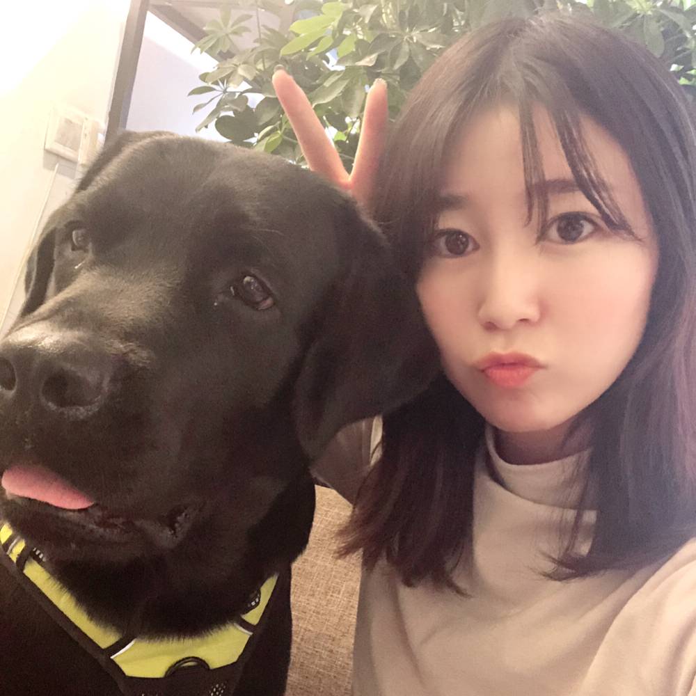 美美的美的照片