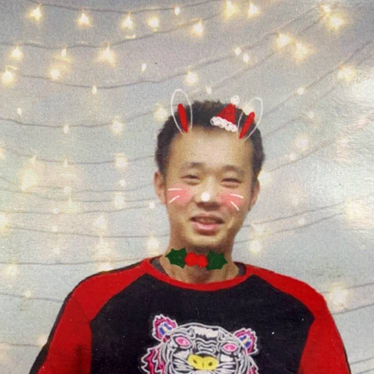 锦猫的照片