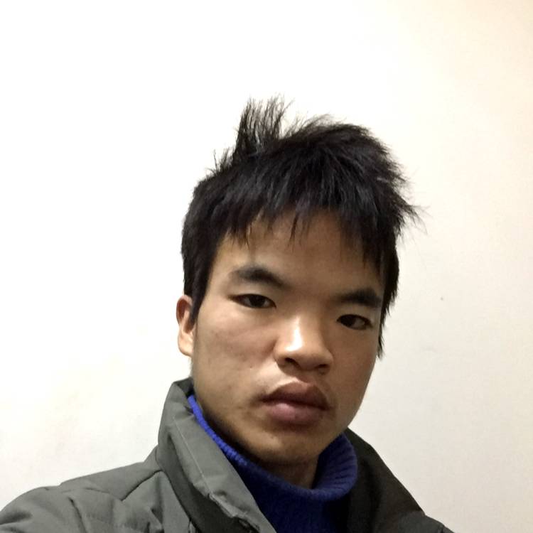 美丽夏天/正的照片