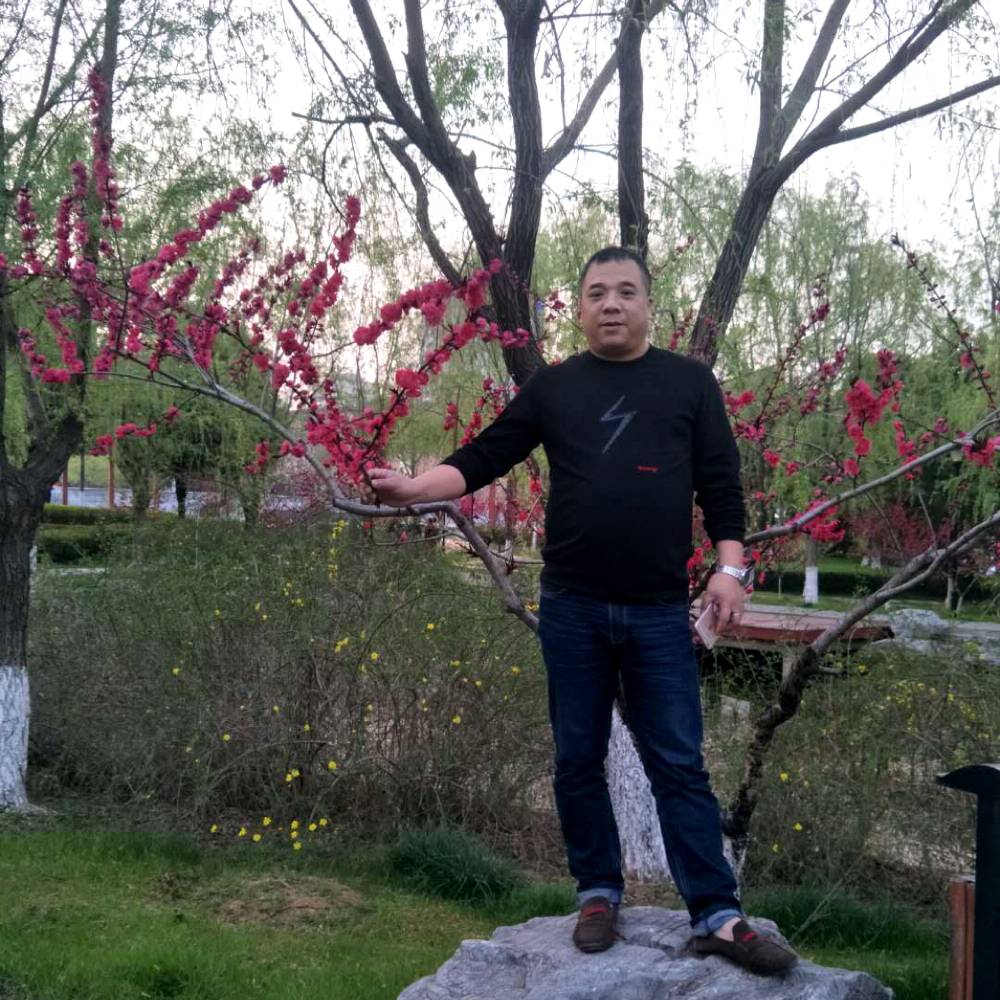 寂寞如斯的照片