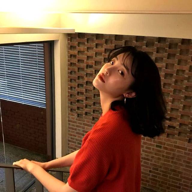 开心小海豚的照片