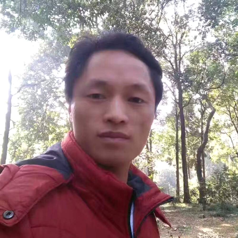 爱情如此伤害人的照片