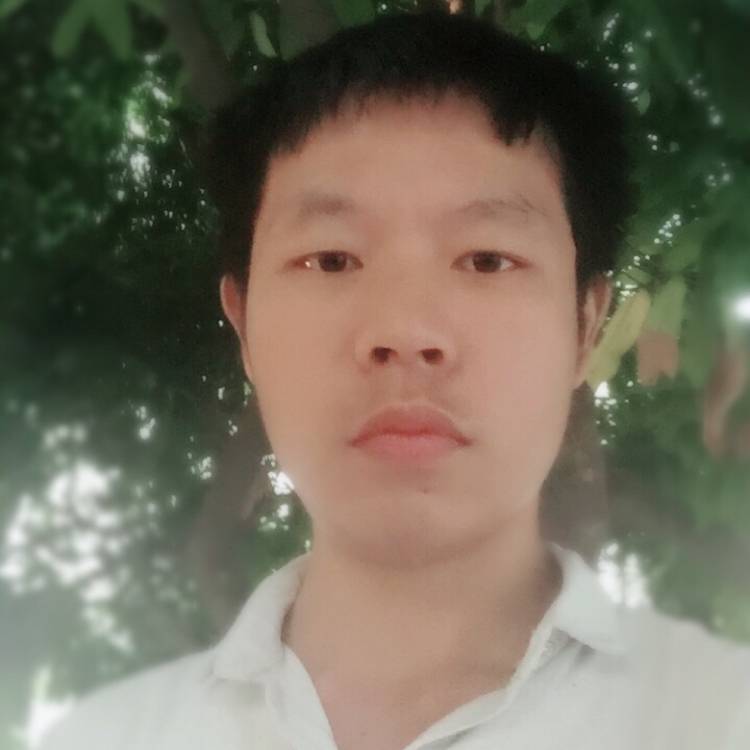 ::等待清晨的阳的照片