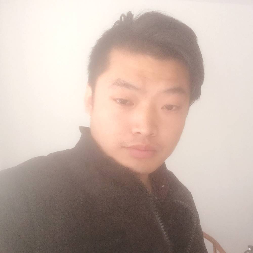 风中龙的照片