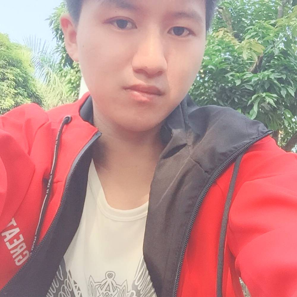 快乐向的照片