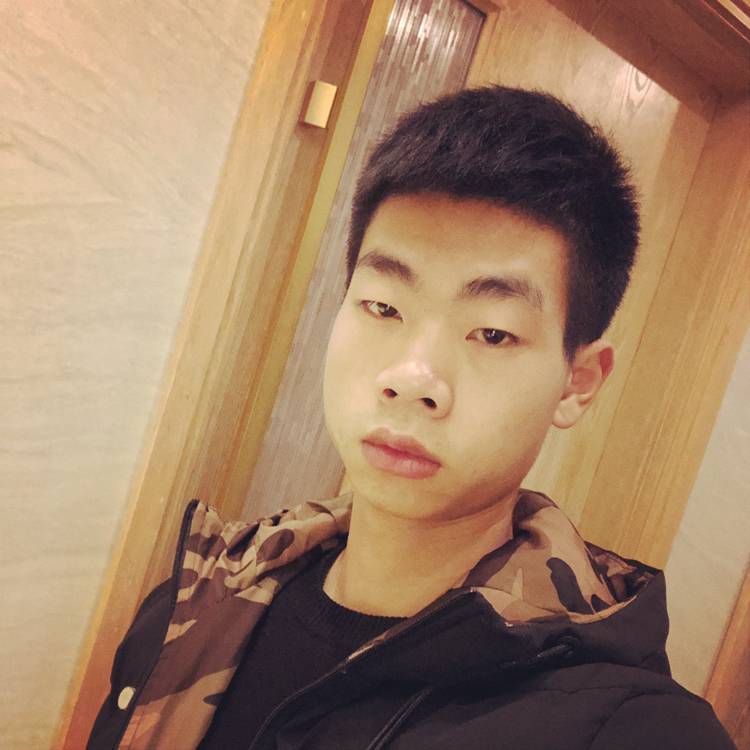 高兴大象的照片