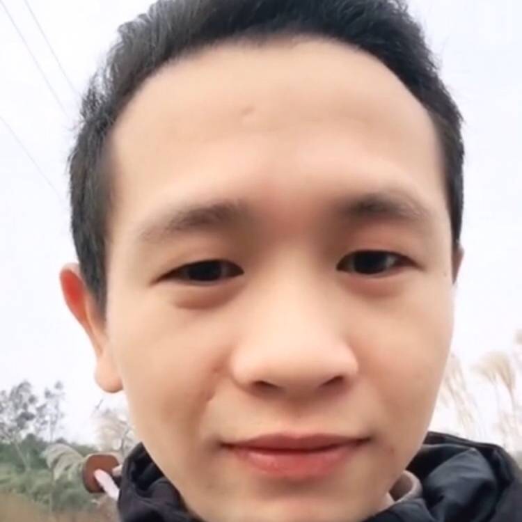 漂亮蹁跹钢笔的照片