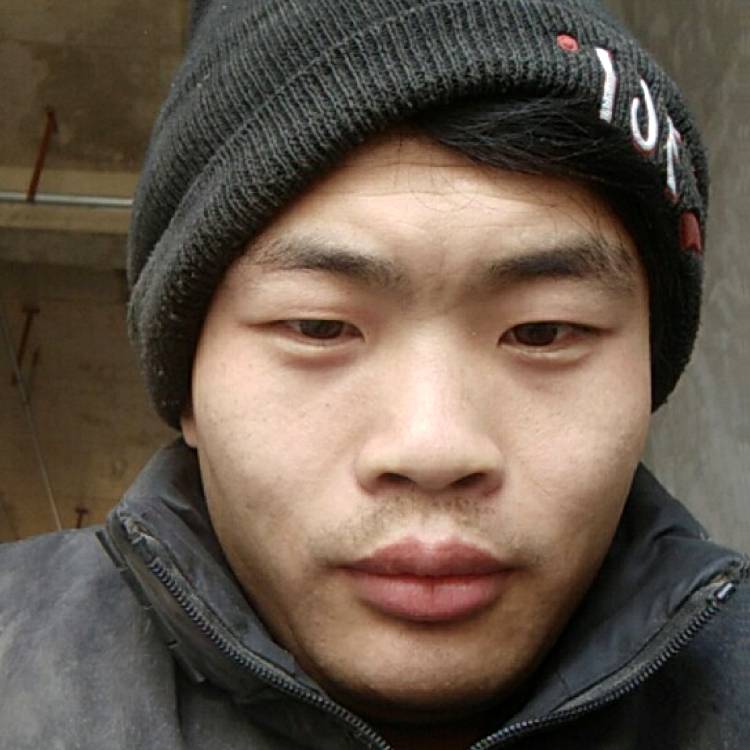 龙纹的照片