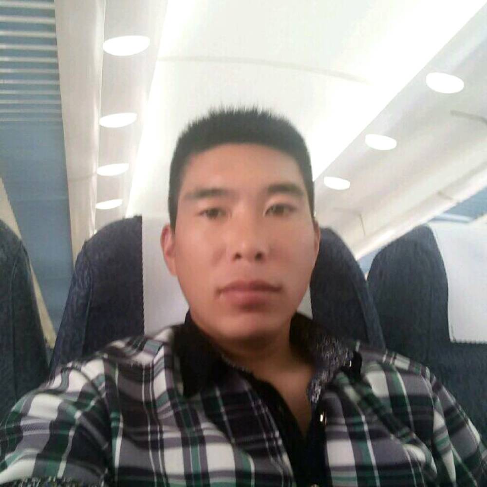 迷离演变荼蘼的照片